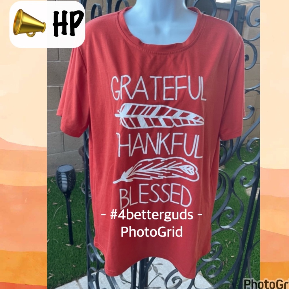 Grateful Thankful Blessed Feathers Front Graphic in White Cotton Blend Tee 2XL